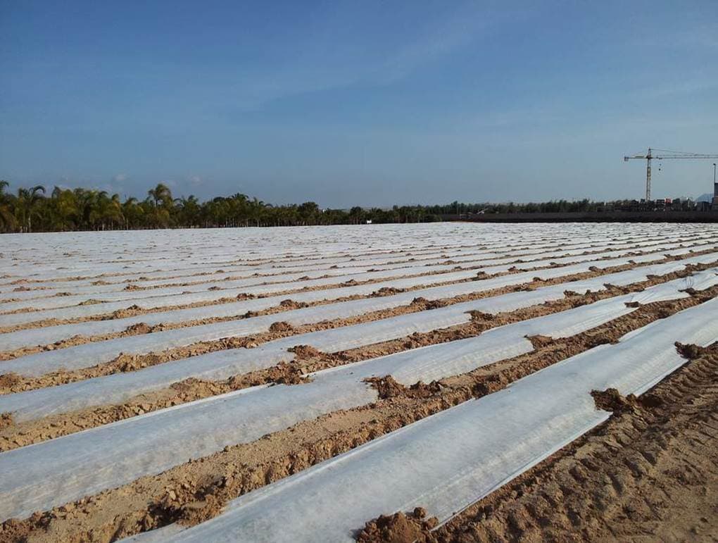 Época de heladas en Mendoza: Cómo la tecnología aplicada busca frenar pérdidas millonarias en fincas