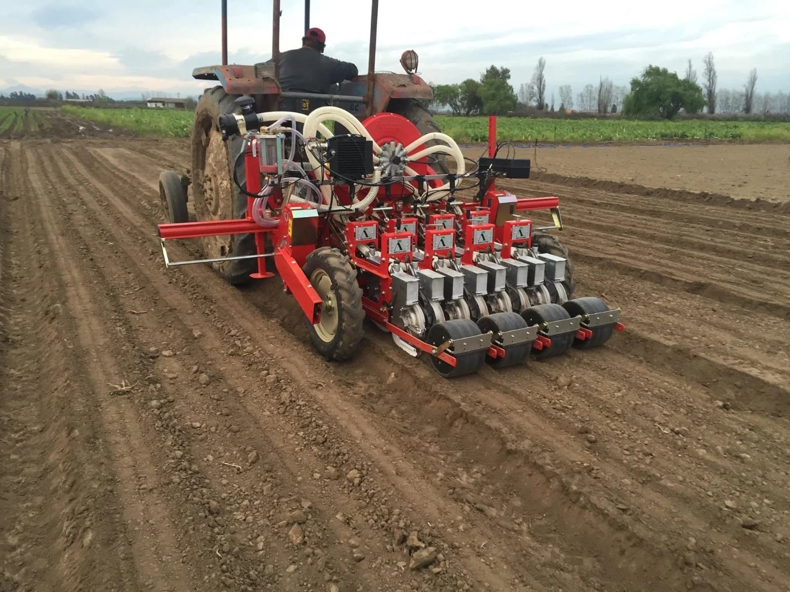 La incorporación de tecnología de poda y siembra asegura la rentabilidad del agro mendocino